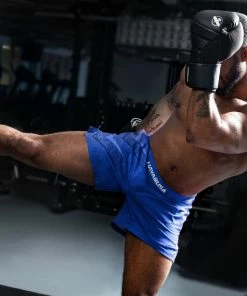 HAYABUSA ARROW KICKBOXING SHORTS STRIKING